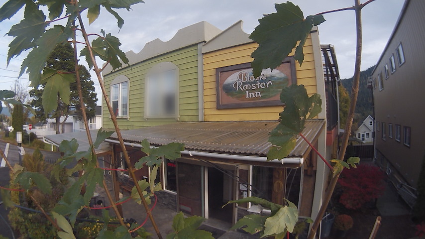 Ζωντανό κανάλι κάμερας από Black Rooster Guesthouse στο Prince Rupert, BC, Canada