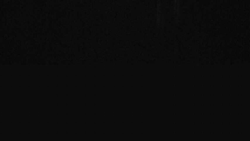 Damüls, Alpenstern Panoramahotel Image