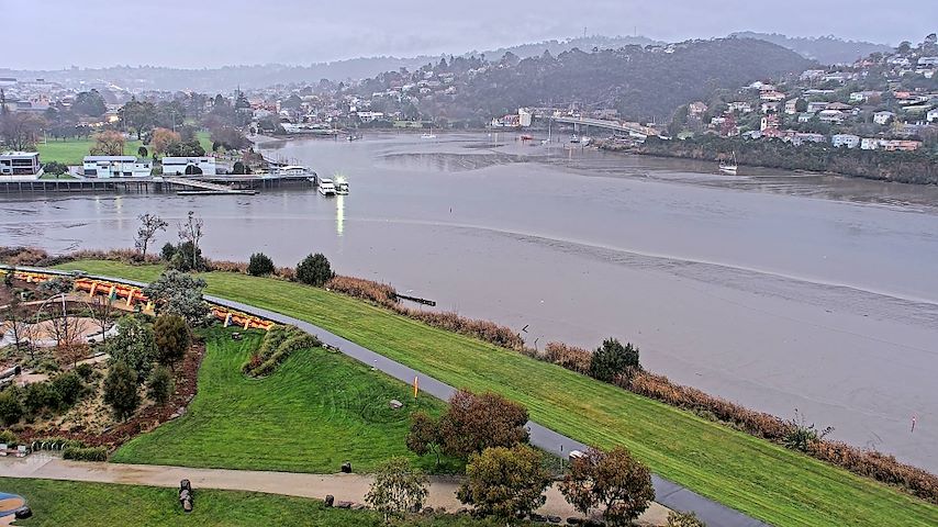 Tamar Estuary Image