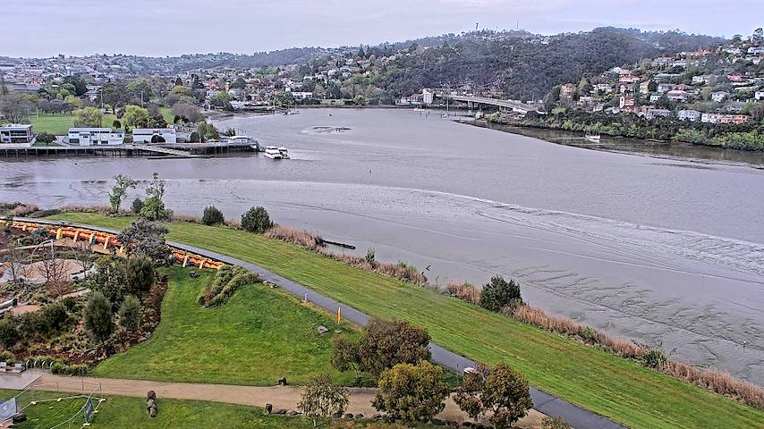 Kanał kamery na żywo z Tamar Estuary w Launceston, Tasmania