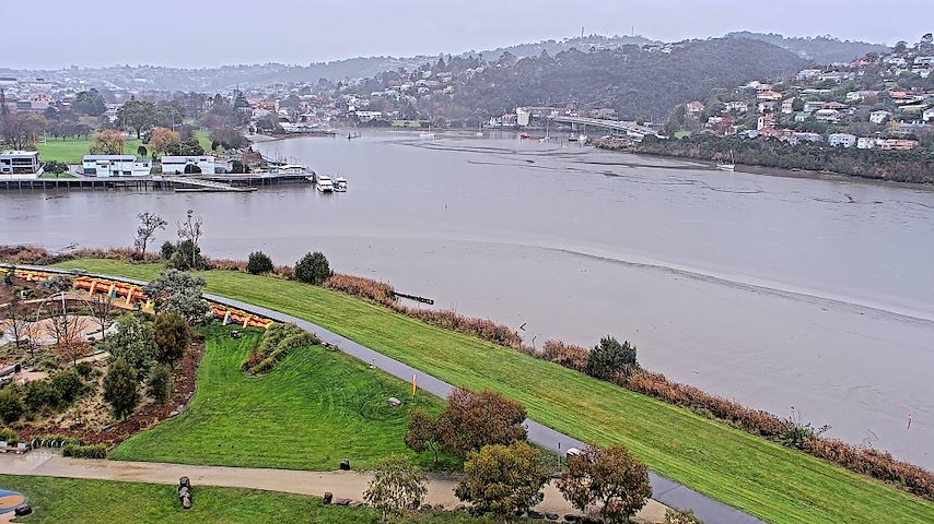 Tamar Estuary Image
