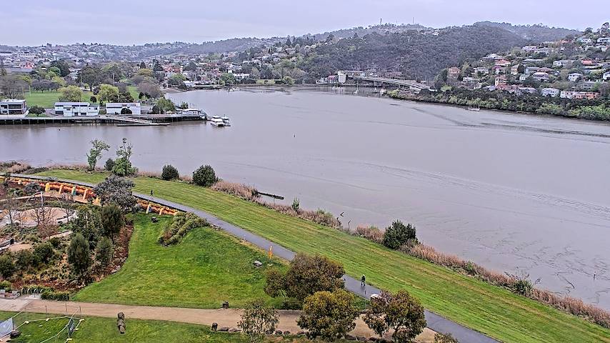 Live camera feed from Tamar Estuary in Launceston, Tasmania