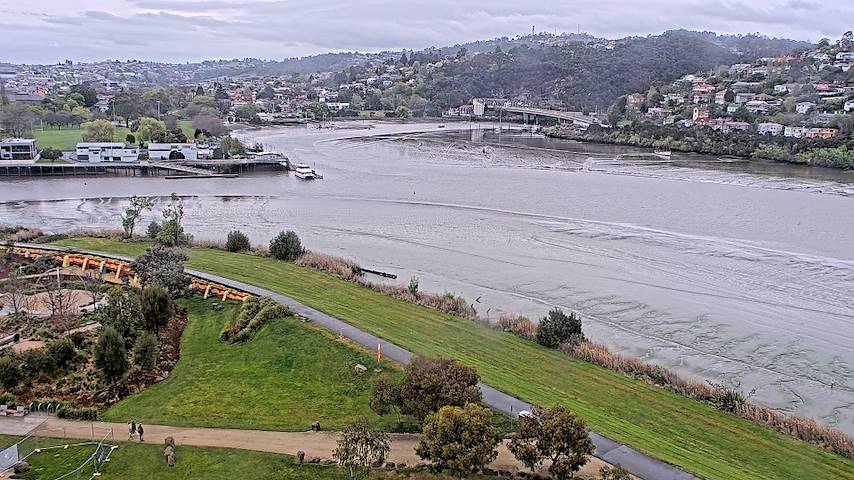 Kanal s kamerom uživo iz Tamar Estuary u Launceston, Tasmania