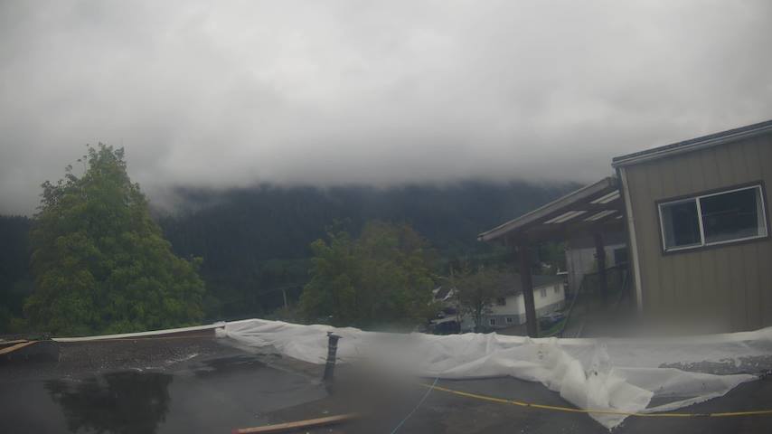 Mt. Hayes Image