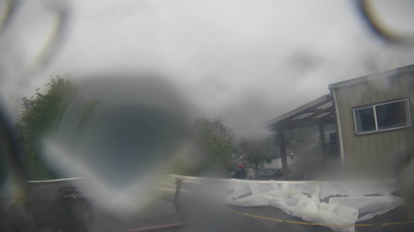 Mt. Hayes Image