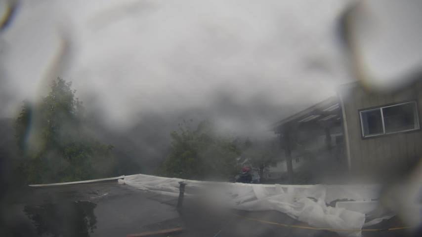 Mt. Hayes Image